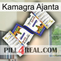Kamagra Ajanta 12